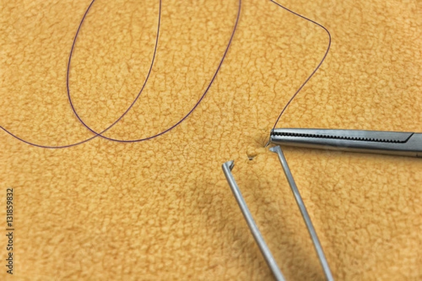 Fototapeta Needle holder holding fine needle with purple suture and surgical tweezer in front of skin imitating textured background, simulating learning surgical suturing technique.