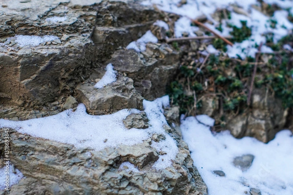 Fototapeta Snow graces the moss-covered tree in a winter landscape