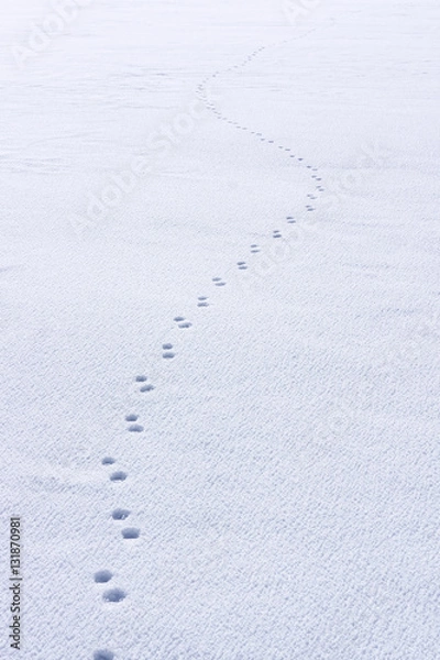 Obraz Line of man's footprints in the snow