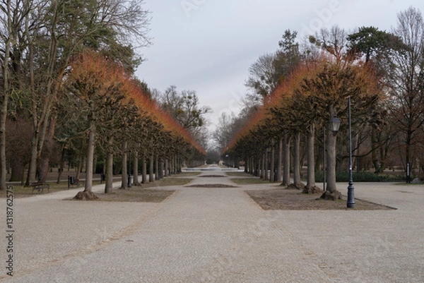 Obraz Park w Ciechocinku