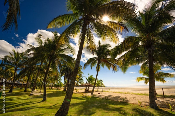 Obraz Beach on Fiji - Viti Levu - Oceania