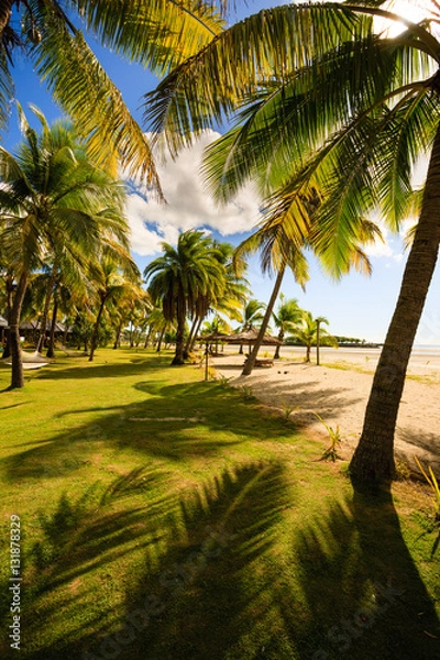Obraz Beach on Fiji - Viti Levu - Oceania