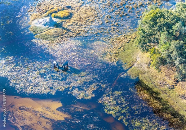 Fototapeta Okavango delta (or Okavango Grassland) is one of the Seven Natural Wonders of Africa (view from the airplane) - Botswana