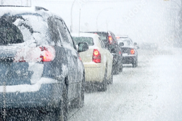 Obraz Ruch w śnieżycy