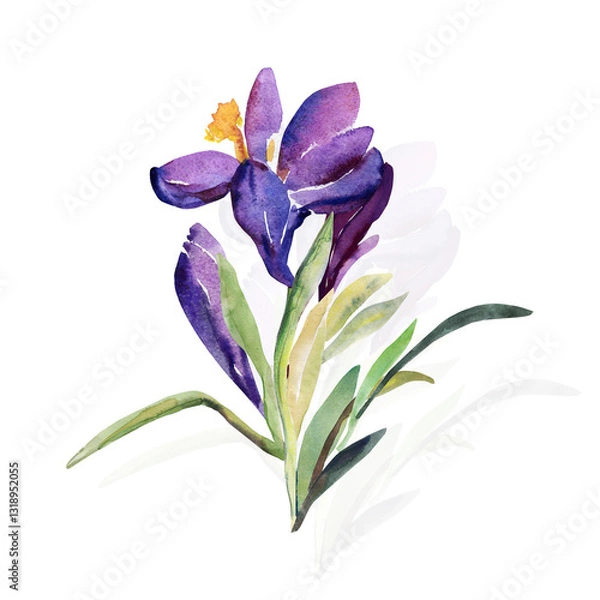 Fototapeta Dekoratives Schneeglöckchen.Pattern of wild flowers, watercolor  image  on a colored background.