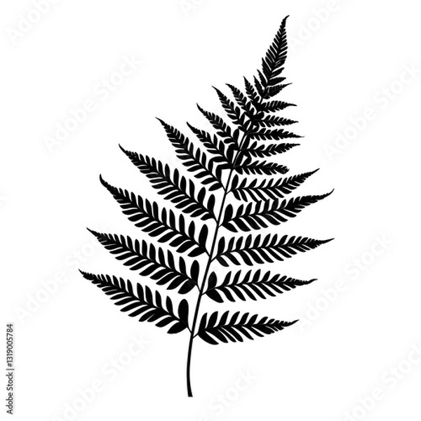 Fototapeta Silhouette of a Fern: A captivating silhouette of a fern leaf, highlighting its intricate patterns, perfect for botanical themes.