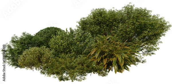 Obraz 3D render of tropical shrubs and plants on transparent background
