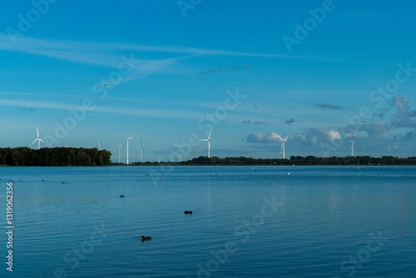 Obraz Windräder zur Stromgewinnung am Veluwemeer in der Abenddämmerung 