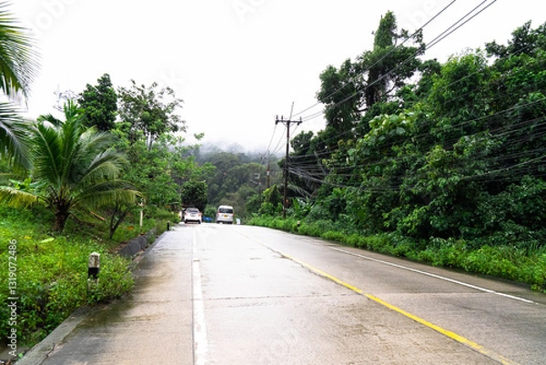 Obraz A rain-soaked road winds through lush greenery, highlighting Thailand's eco beauty and peace.
