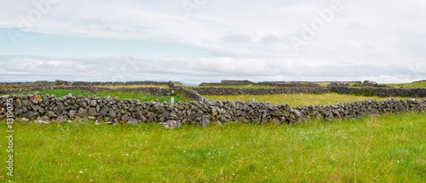 Obraz irish countryside