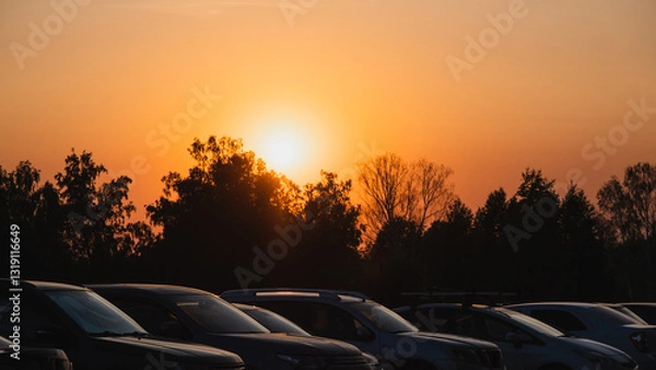 Fototapeta Parked cars against the backdrop of a forest and sunset
