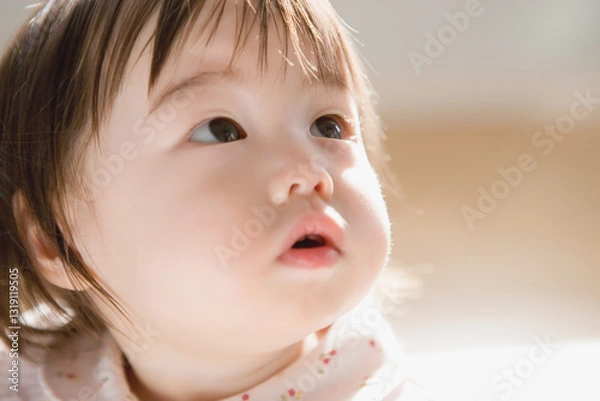Obraz 見上げる女の子の赤ちゃん　11ヶ月