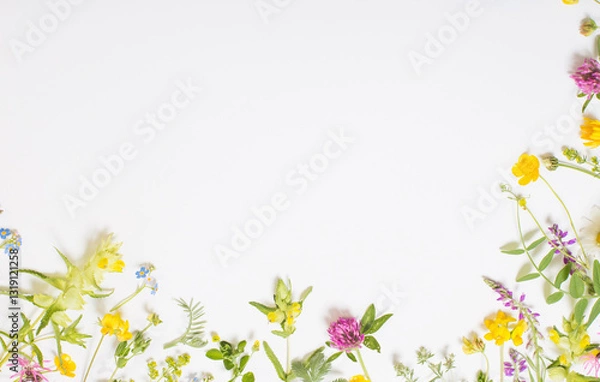 Obraz beautiful wild flowers on white background