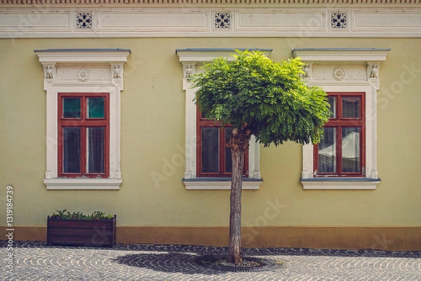 Fototapeta A charming summer scene in Szentendre, Hungary. A small, lush tree stands in front of an old building with ornate windows. The cobblestone street adds to the town’s picturesque and timeless charm
