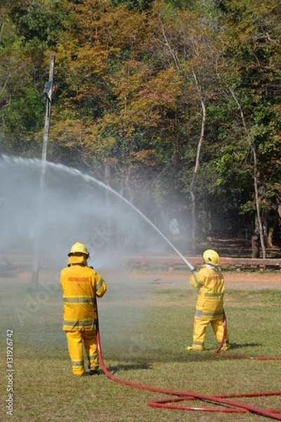 Obraz the firefighter are in demonstrative to the fire