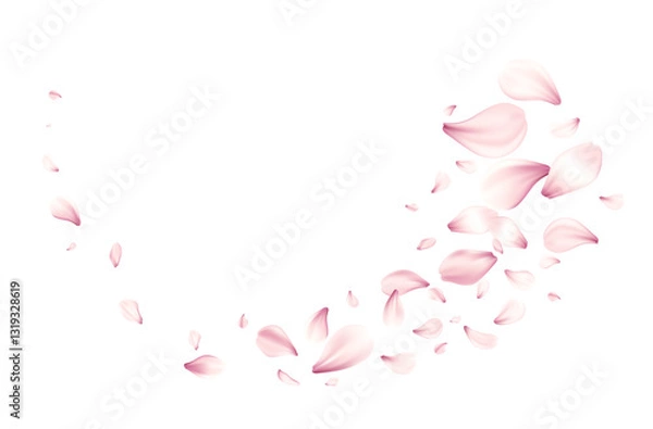 Fototapeta Vector Illustration of Beautiful Pink Rose Petals in a Flowing Pattern on White Background