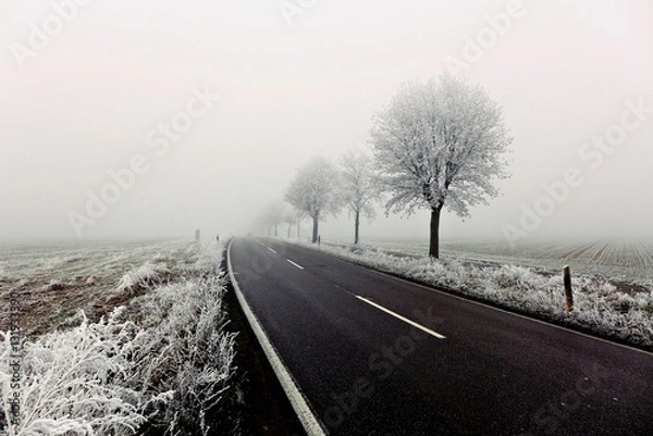 Obraz Landstraße im Winter
