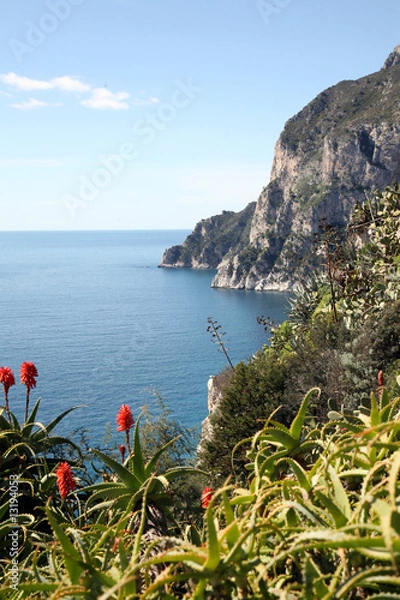 Obraz Ile de Capri