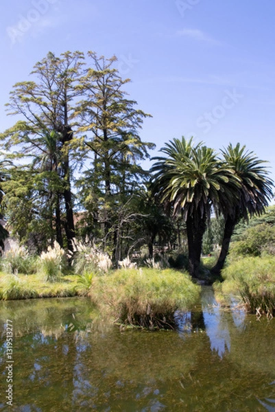 Obraz Montevideo, Uruguay