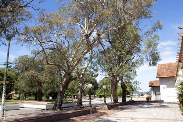 Obraz Montevideo, Uruguay