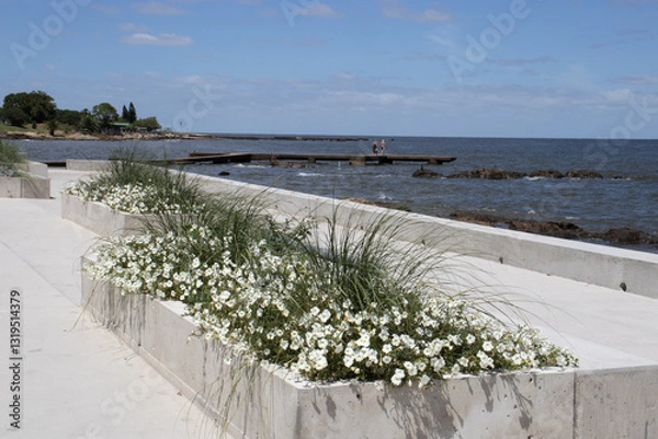 Obraz Montevideo, Uruguay