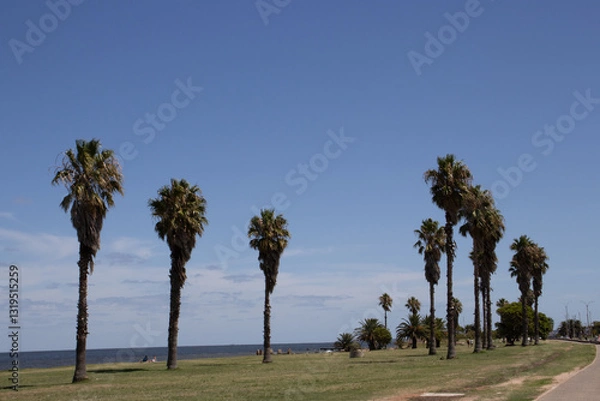 Obraz Montevideo, Uruguay