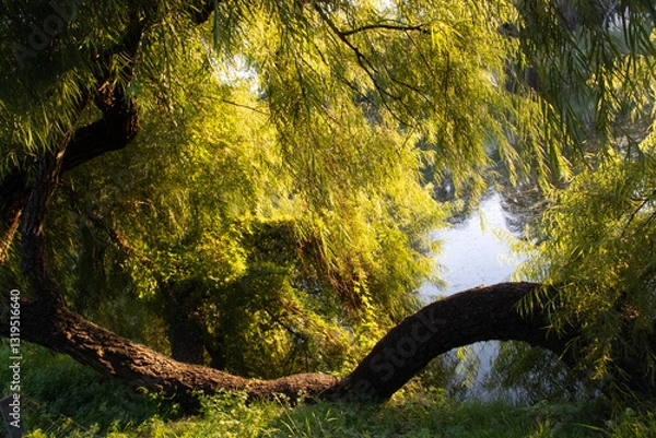 Obraz Montevideo, Uruguay