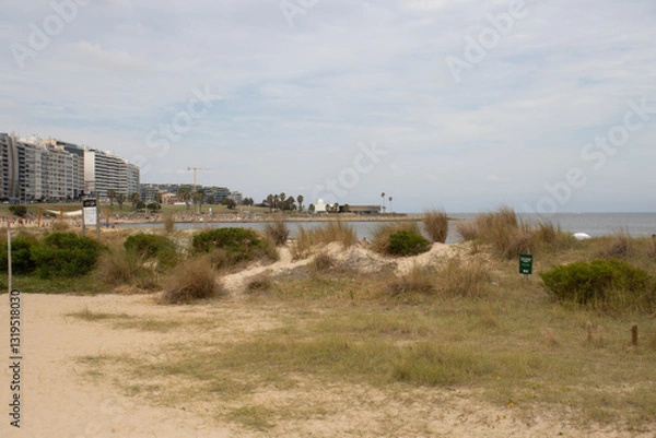 Obraz Montevideo, Uruguay