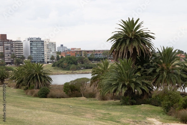 Obraz Montevideo, Uruguay
