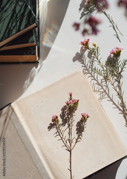 Fototapeta Romantic and dreamy sill life with open book and flowers, summer sun light, novels and reading concept, vintage aesthetic