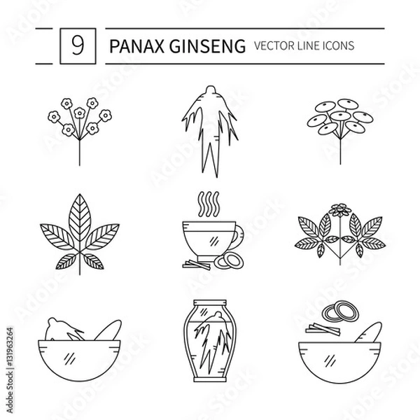 Fototapeta Set of Panax Ginseng