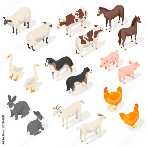 Fototapeta Isometric 3d vector set of farm animals