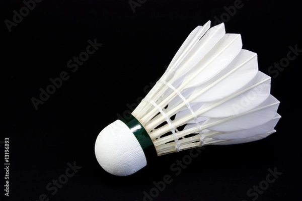 Obraz Shuttlecock