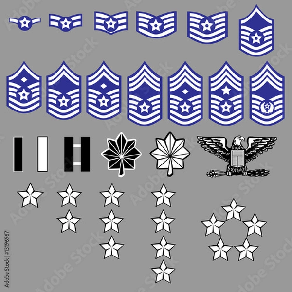Fototapeta US Air Force rank insignia for officers and enlisted in vector