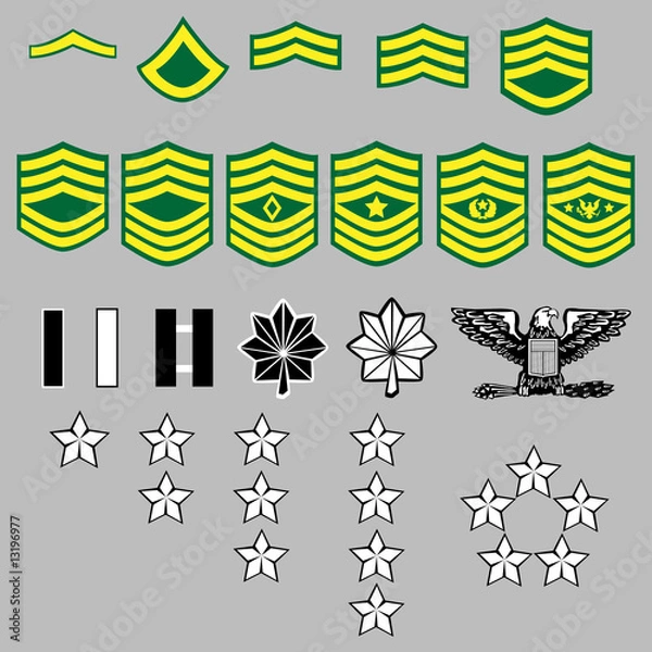 Fototapeta US Army rank insignia for officers and enlisted in vector