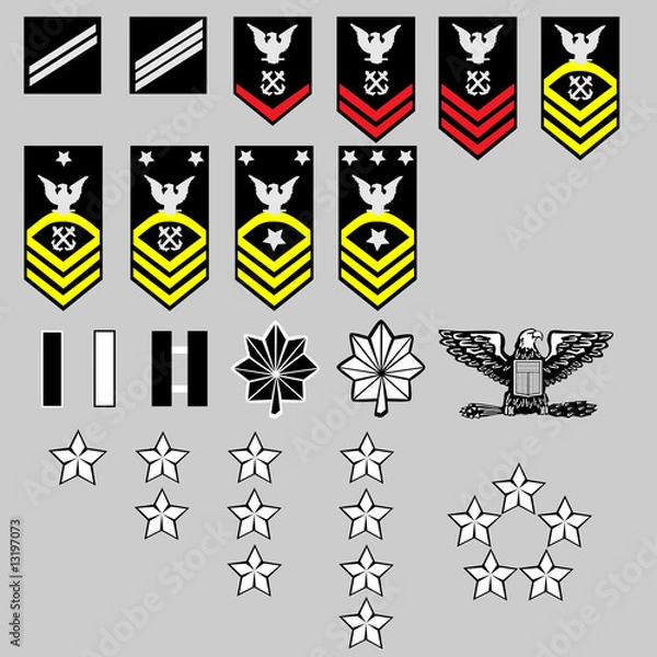 Fototapeta US Navy rank insignia for officers and enlisted in vector