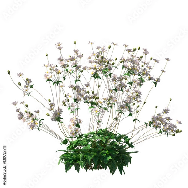 Obraz Anemone hupehensis, Anemone x hybrida, Japanese anemone, evergreen, small tree, bush, light for daylight, easy to use, 3d render, isolated