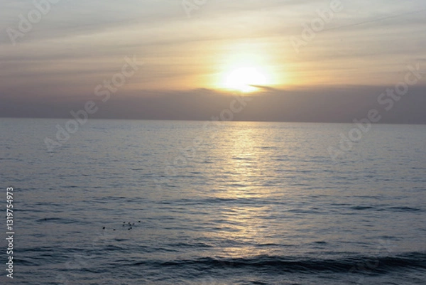 Obraz Golden sunset illuminating calm ocean with birds floating on water surface
