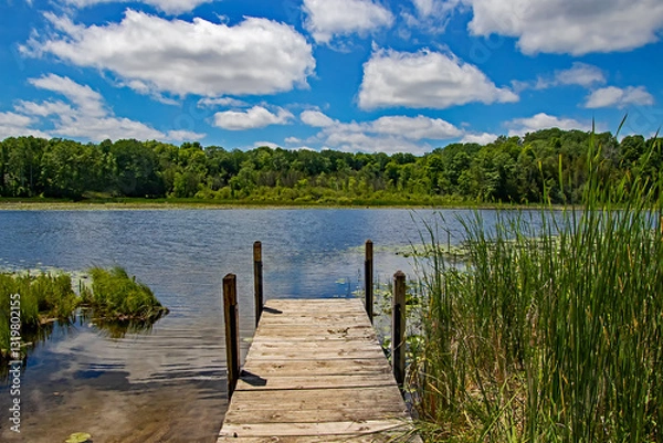 Obraz dock on a lake