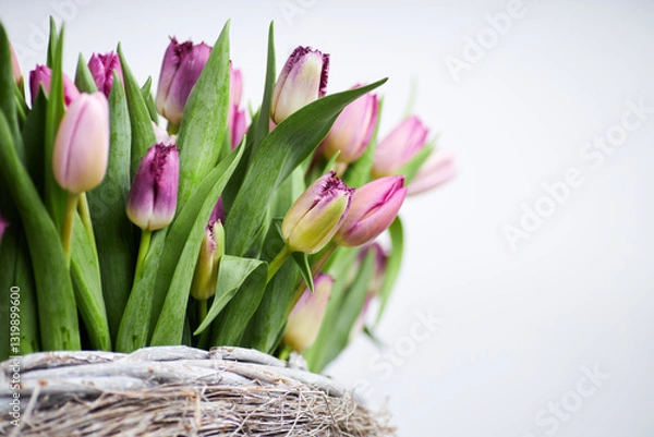 Obraz Fresh pink and purple tulip bouquet in a rustic wicker basket with white background and copy space for text  
