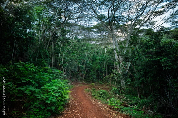 Fototapeta A Bend in the Path