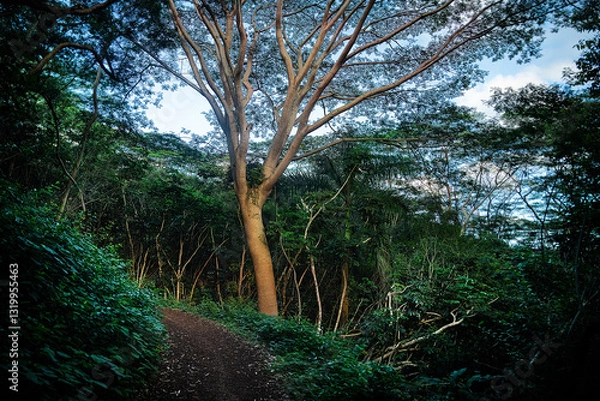 Fototapeta A Tall Tree