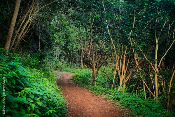 Fototapeta Relaxing Stroll