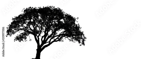 Fototapeta Single, majestic tree silhouetted against a pure white backdrop, white background, serene