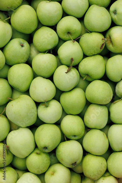 Fototapeta Many green apples arranged together, emphasizing their bright color and fresh, juicy texture