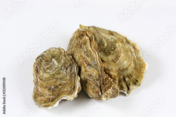 Fototapeta huîtres 02012017