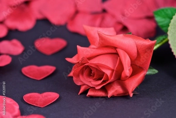 Obraz Red and Hearts