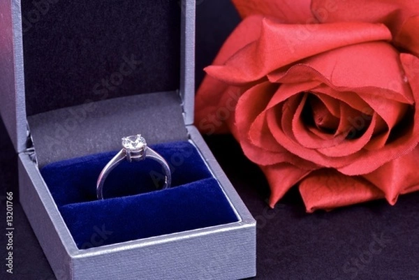 Obraz Engagement Proposal