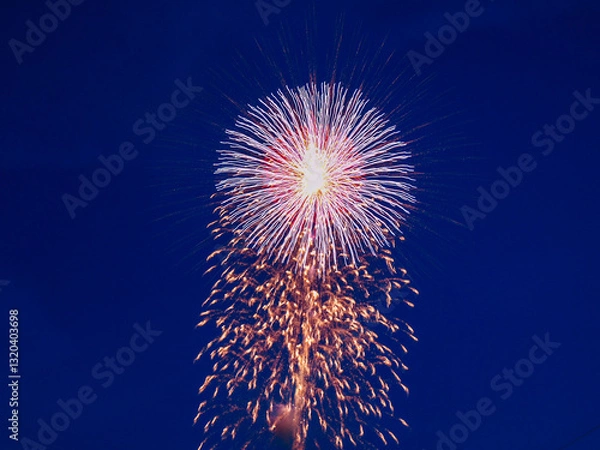 Fototapeta Firework Display