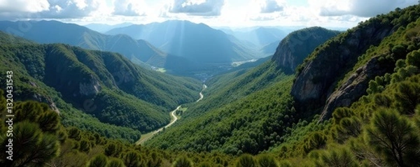 Fototapeta Close-up of a Tamborine Mountain pan, Queensland, Australia , still life, vintage